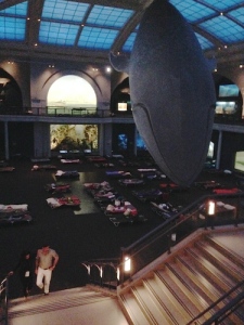 The sleepover site under the Blue Whale